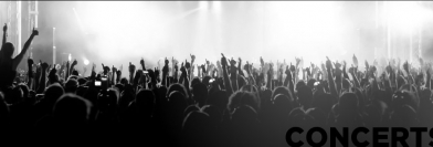 Festivals / Concerts