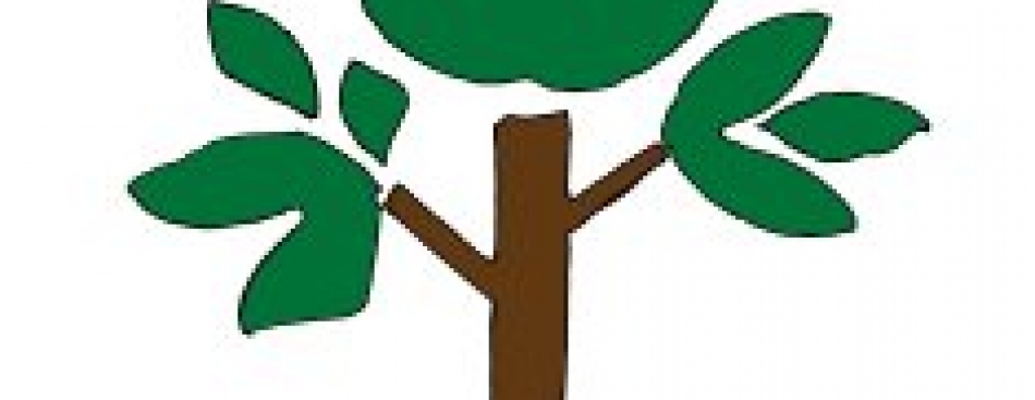 Le JT des Voironnais