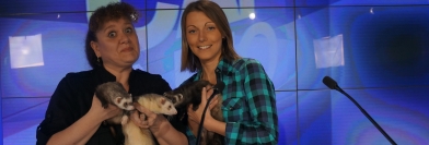 Cap Info du 17 avril