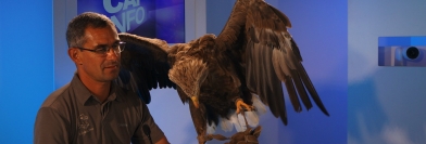 Cap Info du 17 septembre