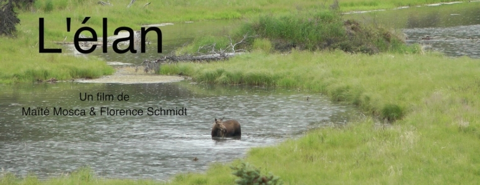 C mon Cinéma - Mardi 15 mars
