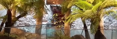 Agora - Jeudi 21 avril