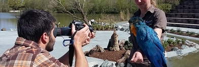 Agora - Jeudi 28 avril