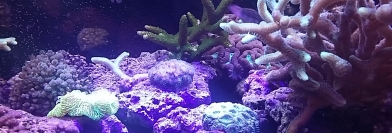 Agora - Jeudi 12 mai