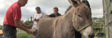 Agora - Jeudi 16 juin