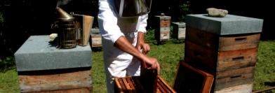 G L'INFO - Lundi 4 juillet