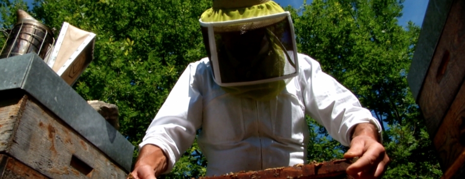 G L'INFO - Lundi 4 juillet