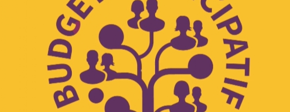 Budget Participatif de la Ville de Grenoble