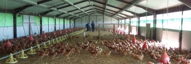 Voyons Voir - Jeudi 13 octobre