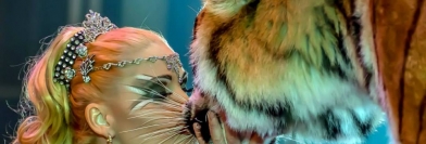 Festival International du Cirque de Massy 2016