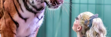 Festival International du Cirque de Massy 2016