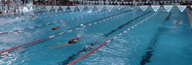 Fontaine, l'édition citoyenne - Mardi 8 novembre