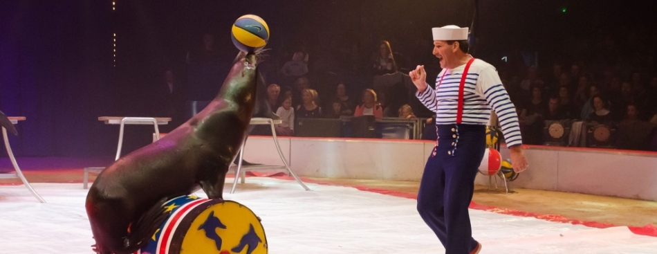 Festival International du Cirque de Voiron 2015
