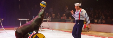 Festival International du Cirque de Voiron 2015