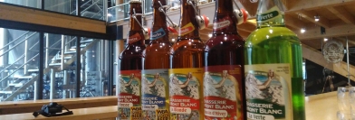 Voyons Voir - Jeudi 17 novembre