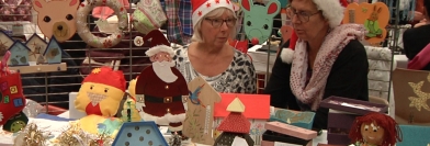 Fontaine, l'édition citoyenne - Mardi 13 décembre