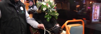 C'est pas mal chez vous ! Lundi 19 décembre