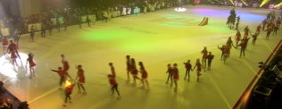 "Les Stars de la glace" - Samedi 7 janvier