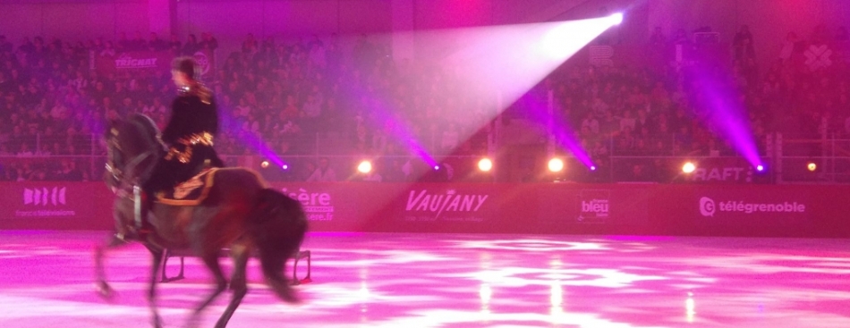 "Les Stars de la glace" - Samedi 7 janvier