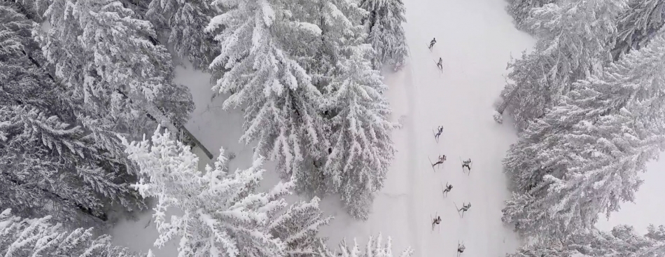 Le JT - Mardi 10 janvier