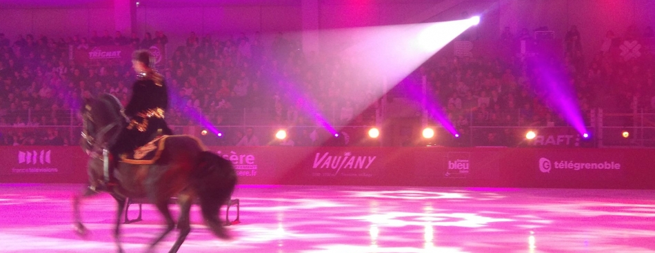 "Les Stars de la glace" - Mercredi 11 janvier