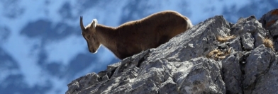 Grand Air - Lundi 6 février