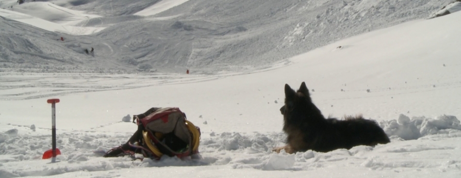 Voyons Voir - Jeudi 9 février