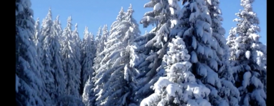 G l'INFO, le mag du Grésivaudan - Lundi 13 février