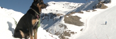 Voyons Voir - Jeudi 16 février