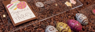 Voyons Voir - Jeudi 20 avril