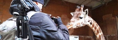 Voyons Voir - Jeudi 27 avril