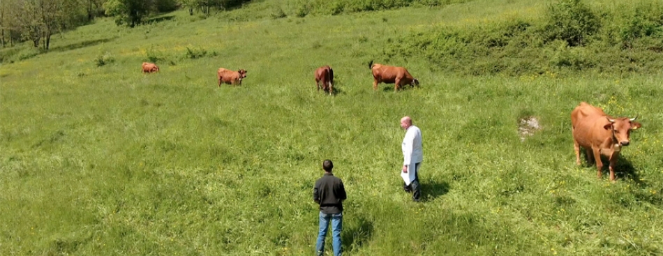 (Docu) Meilleurs Ouvriers de France - Dimanche 18 juin