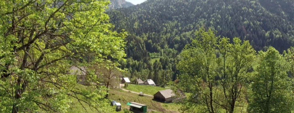 (Docu) Meilleurs Ouvriers de France - Dimanche 18 juin