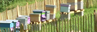 C'est pas mal chez vous ! Lundi 26 juin