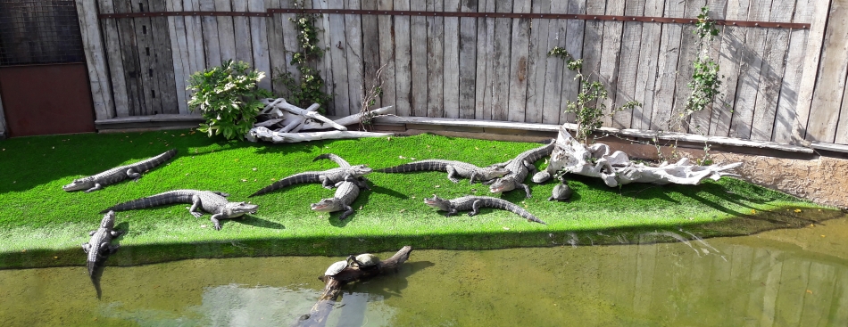 Voyons Voir - Jeudi 19 octobre à 20h45