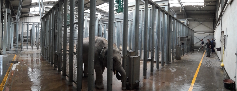 Voyons Voir - Jeudi 19 octobre à 20h45