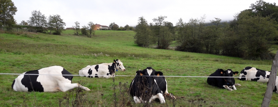 Voyons Voir - Jeudi 2 novembre à 20h45