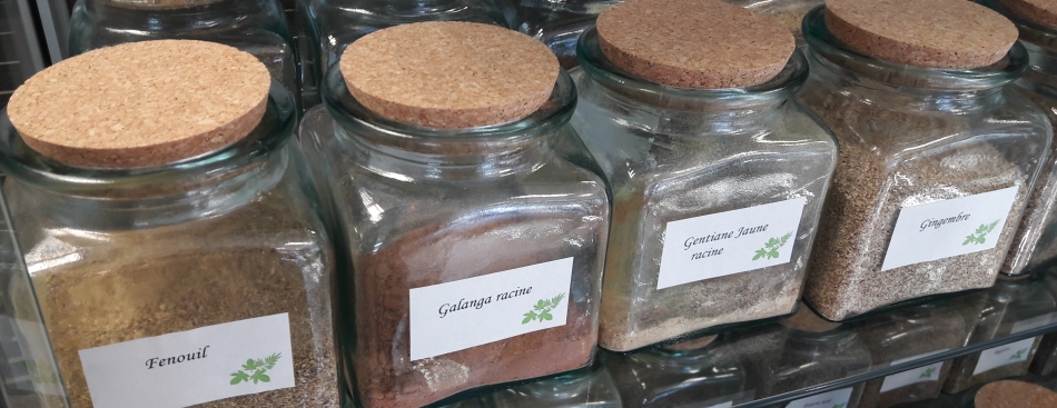 Voyons Voir - Jeudi 16 novembre à 20h45