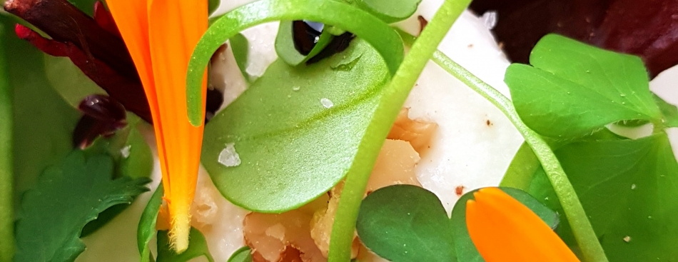 Voyons Voir - Jeudi 15 mars à 20h45