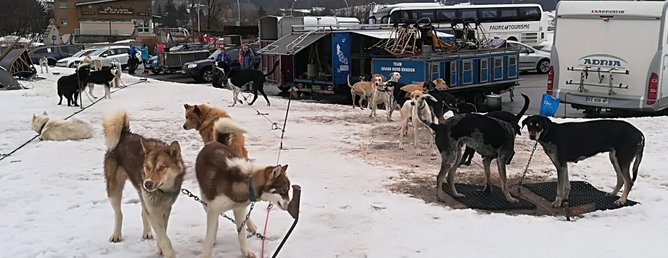 Alpes Is Here - Samedi 10 mars à 11h et 16h30