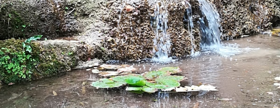 Alpes Is Here - Vendredi 6 juillet 