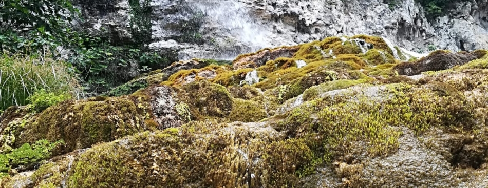 Alpes Is Here - Vendredi 6 juillet 