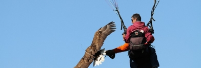 L'homme qui apprenait à voler aux oiseaux