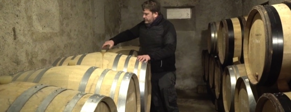 Voyons Voir consacré à la filière du vin - Jeudi à 20h45