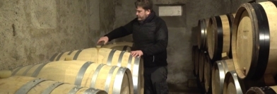 Voyons Voir consacré à la filière du vin - Jeudi à 20h45