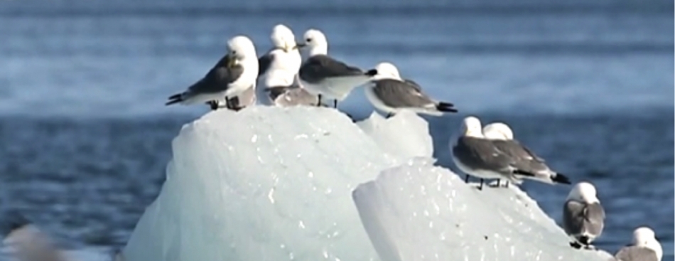 Samedi à 20h30 ! 2ème soirée spéciale