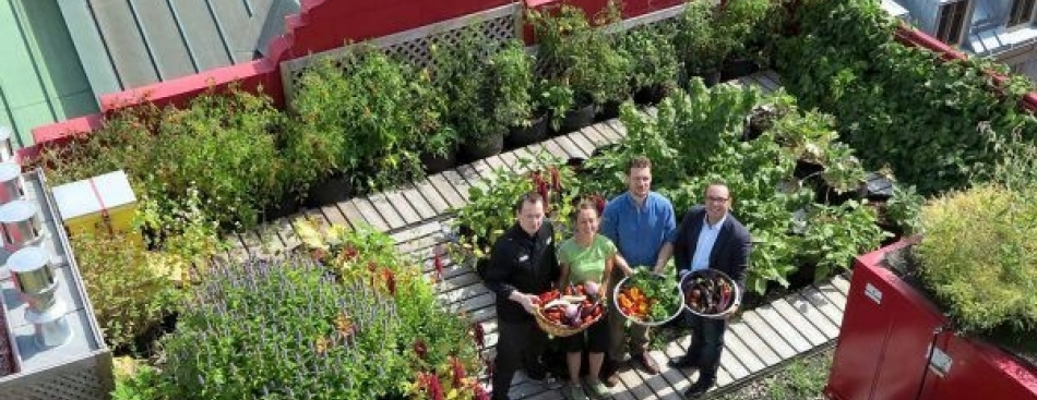 Si On Parlait aujourd'hui de l'agriculture urbaine ! 
