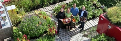 Si On Parlait aujourd'hui de l'agriculture urbaine ! 