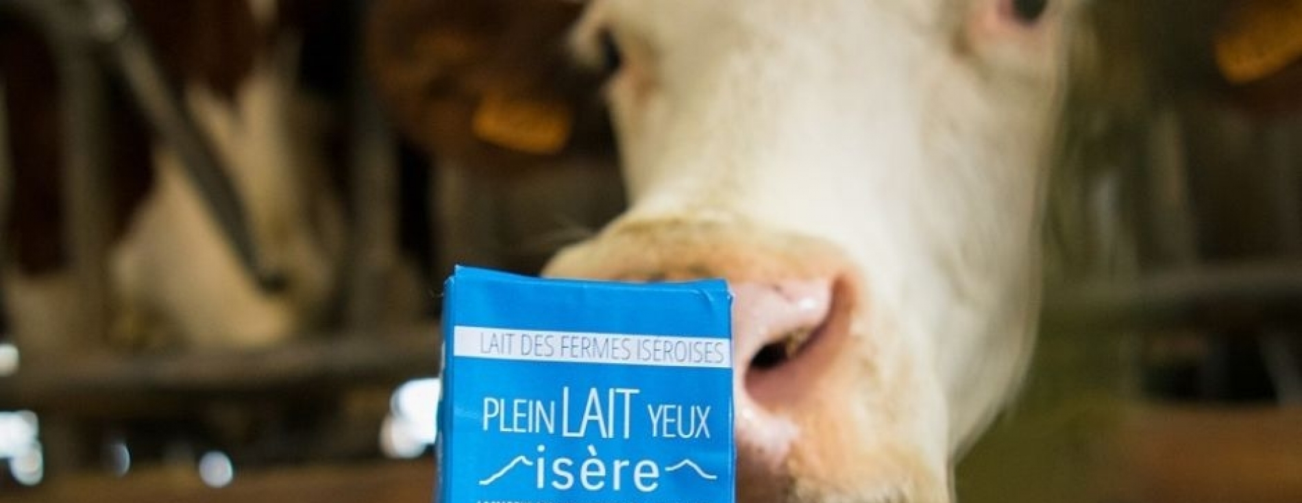 L'Isère se met au vert ! Isère Mag - Samedi 19 février