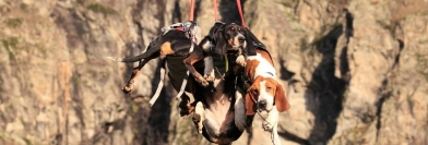 1ère mondiale pour secourir les animaux, Si On Parlait du 18/01/2023